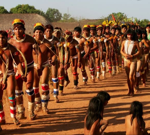 Não dá para salvar a Amazônia sem salvar os indígenas.