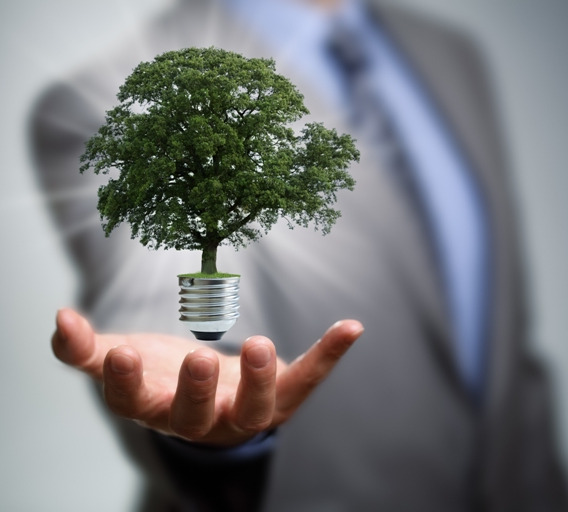 Conectando Negócios com Sustentabilidade Ambiental