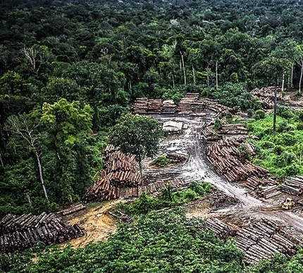 Pontos mais críticos é a extensão da LAC ou “autolicenciamento”